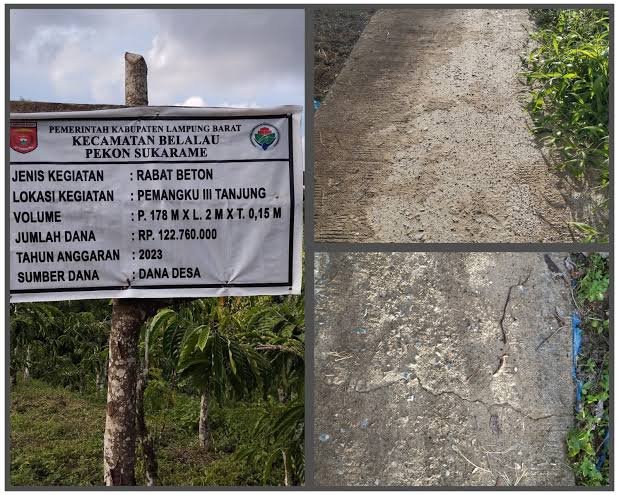 Lsm Pemuda Bangsa Minta APH Periksa Peratin Pekon Sukarame