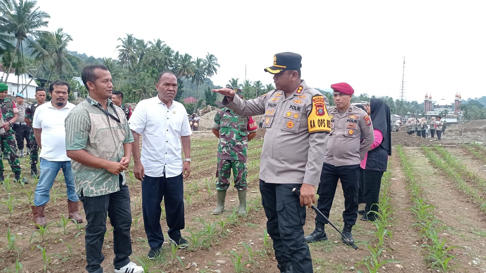 Reklamasi Bekas Tambang Emas di Kota Nopan Terus Berlanjut 