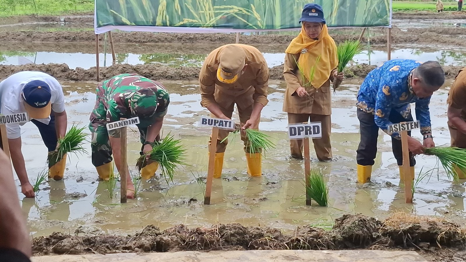 Bupati Madina H. Saipullah Nasution Mengajak Masyarakat Madina Untuk Bertani, Dengan Tema “Keta tu Saba”