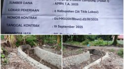 Proyek Drainase 800 Meter di Pardasuka Pacu Produktivitas Pertanian