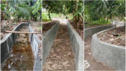 Proyek Drainase 800 Meter di Pardasuka Telah Selesai, Dorong Produktivitas Pertanian