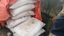 Diduga Gapoktan Main Harga Pupuk Subsidi, Petani Dusun III Rimau Sungsang Menjerit