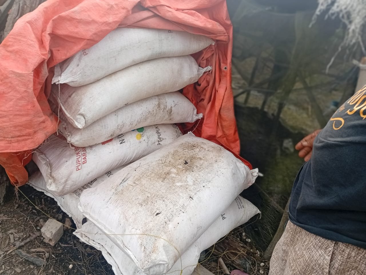 Diduga Gapoktan Main Harga Pupuk Subsidi, Petani Dusun III Rimau Sungsang Menjerit