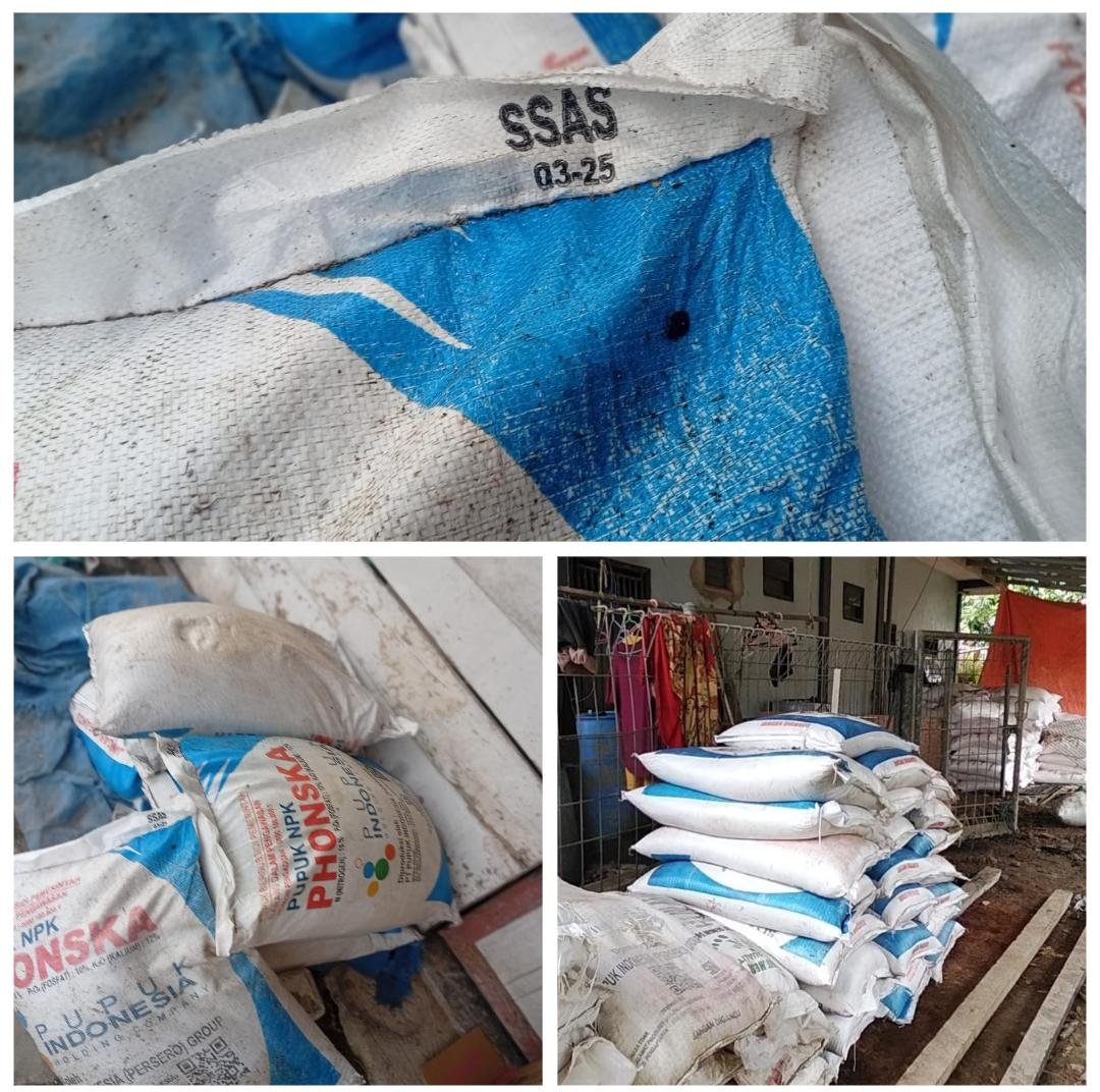 Petani Rimau Sungsang II Keluhkan Harga Pupuk Subsidi Melambung, Produk Tahun 2025 Diduga Masih Dijual pada 2026
