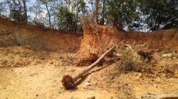 Warga Desak Aparat Penegak Hukum Usut Tuntas Galian C Ilegal di Gunung Kancil